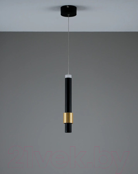 Изображение товара Потолочный светильник Moderli Elli / V10884-PL