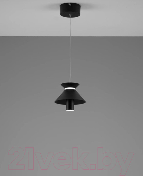 Изображение товара Потолочный светильник Moderli Ori / V10885-PL