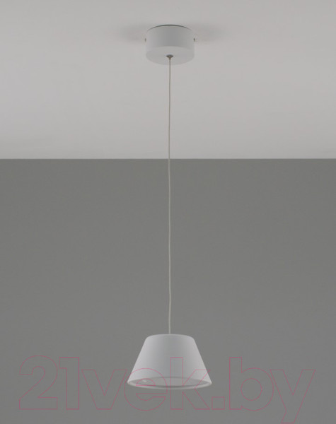 Изображение товара Потолочный светильник Moderli Atla / V10888-PL