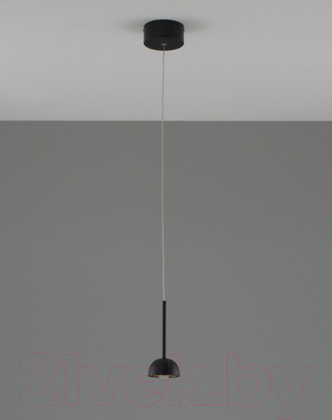 Изображение товара Потолочный светильник Moderli Fiona / V10891-PL