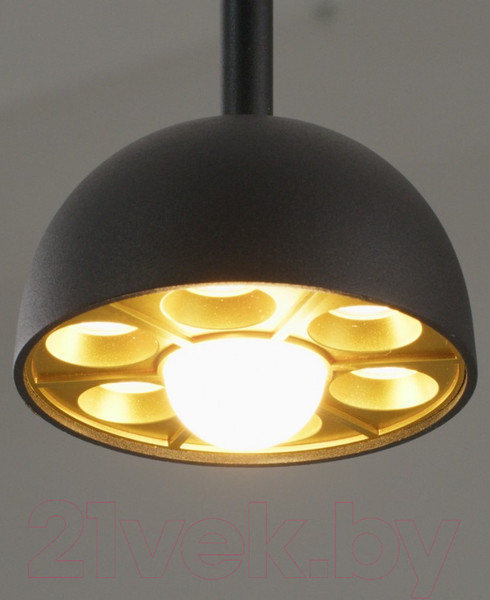 Изображение товара Потолочный светильник Moderli Fiona / V10891-PL