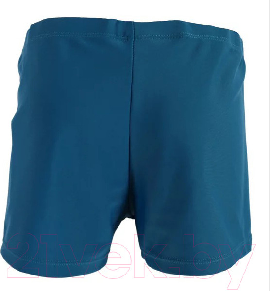 Изображение товара Плавки детские Elous ELS215 (р.146, синий)