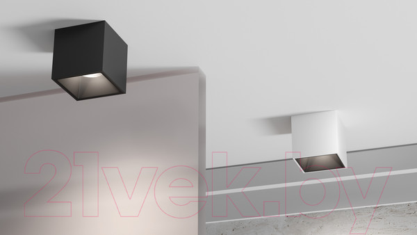 Изображение товара Потолочный светильник Maytoni Alfa LED C065CL-02-L12W4K-B