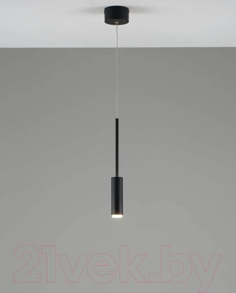 Изображение товара Потолочный светильник Moderli Rin / V10899-PL