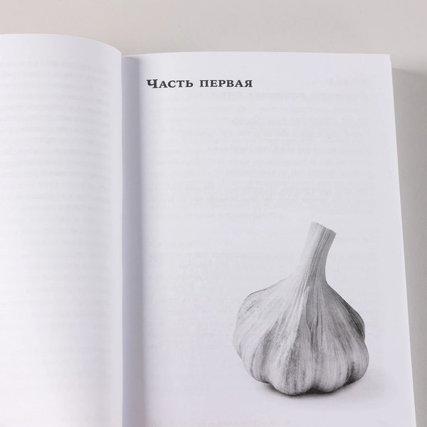 Изображение товара Книга Альпина Психовампиры. Мягкая обложка (Пезешкиан Х., Фойгт К.)