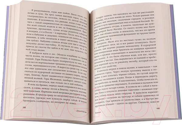 Изображение товара Книга Альпина Течения / 9785002231232 (Благова Д.)