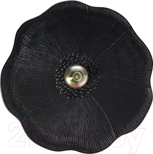 Изображение товара Бра Bergenson Bjorn Wildflower / BB0000585 (черный)