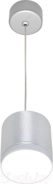 Изображение товара Потолочный светильник Maytoni Polar P088PL-GX53-S