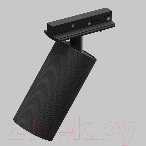 Изображение товара Трековый светильник Maytoni Artisan TR089-1-GU10-BB