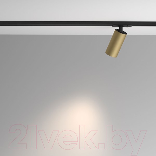 Изображение товара Трековый светильник Maytoni Artisan TR089-1-GU10-BMG