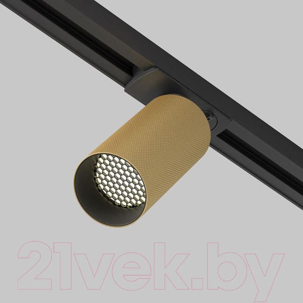 Изображение товара Трековый светильник Maytoni Artisan TR089-1-GU10-BMG
