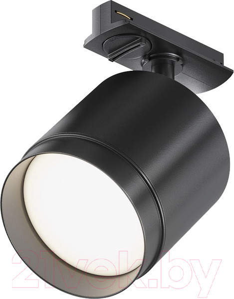 Изображение товара Трековый светильник Maytoni Polar TR088-1-GX53-B
