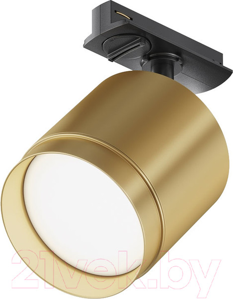 Изображение товара Трековый светильник Maytoni Polar TR088-1-GX53-MG