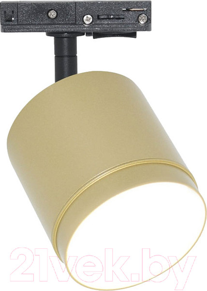 Изображение товара Трековый светильник Maytoni Polar TR088-1-GX53-MG