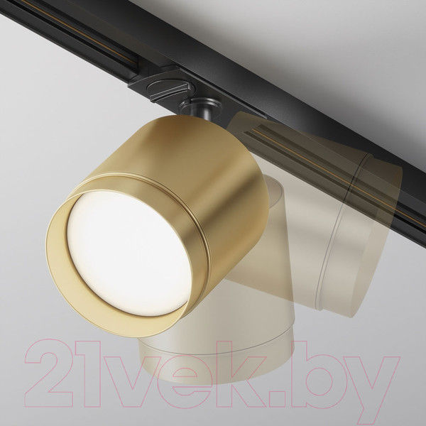 Изображение товара Трековый светильник Maytoni Polar TR088-1-GX53-MG