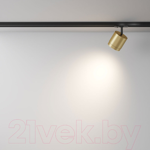 Изображение товара Трековый светильник Maytoni Polar TR088-1-GX53-MG