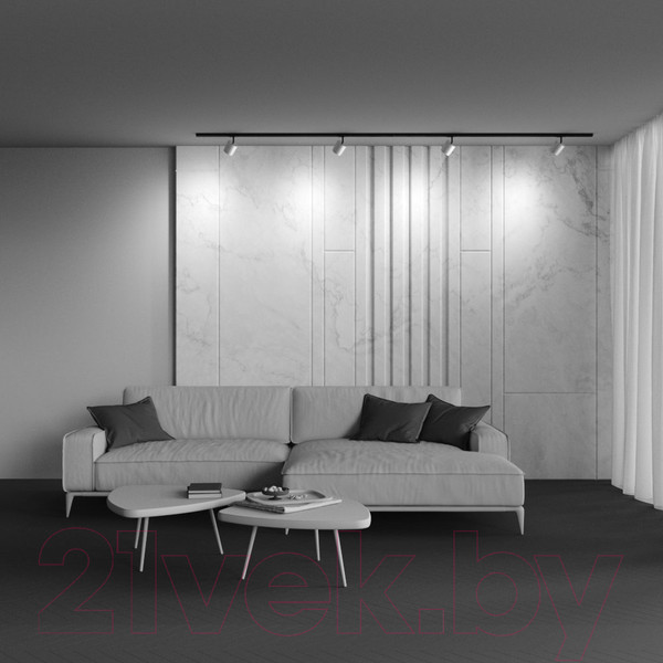 Изображение товара Трековый светильник Maytoni Polar TR088-1-GX53-MG