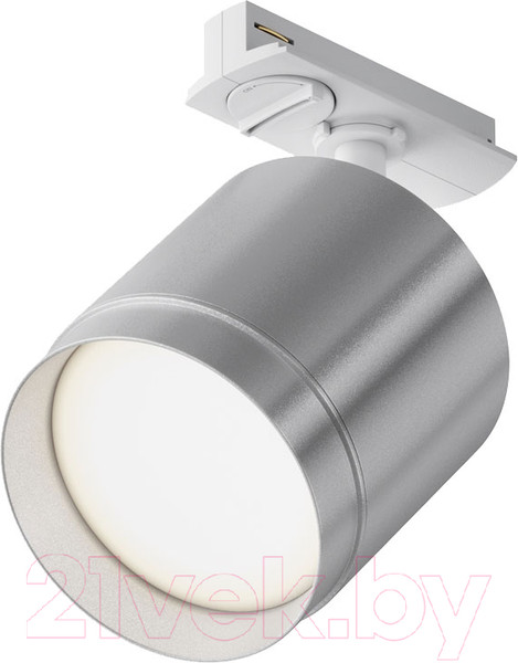 Изображение товара Трековый светильник Maytoni Polar TR088-1-GX53-S