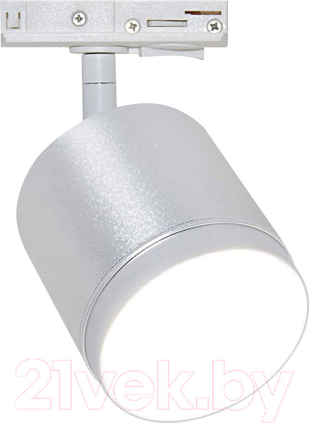 Изображение товара Трековый светильник Maytoni Polar TR088-1-GX53-S