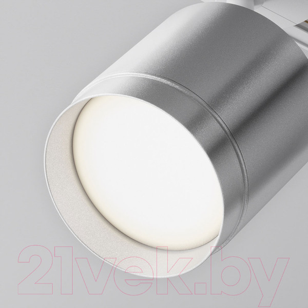 Изображение товара Трековый светильник Maytoni Polar TR088-1-GX53-S