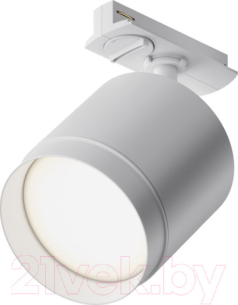 Изображение товара Трековый светильник Maytoni Polar TR088-1-GX53-W