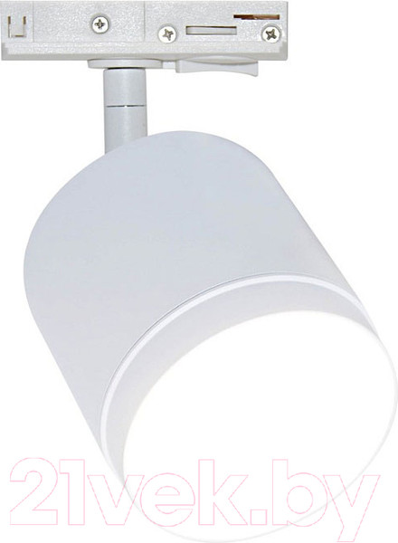 Изображение товара Трековый светильник Maytoni Polar TR088-1-GX53-W