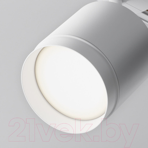 Изображение товара Трековый светильник Maytoni Polar TR088-1-GX53-W