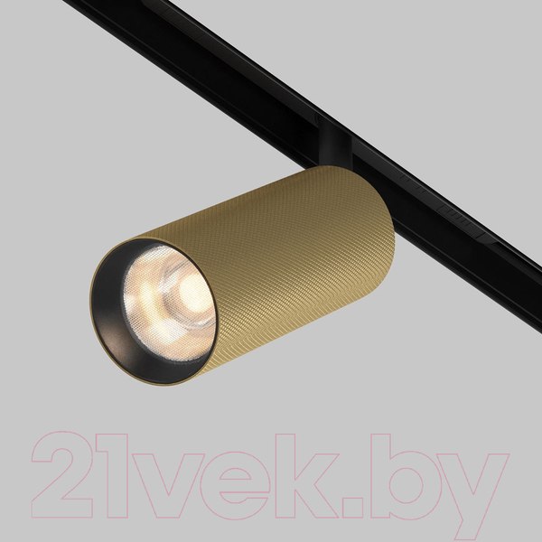 Изображение товара Трековый светильник Maytoni Artisan TR097-2-12W4K-M-BMG