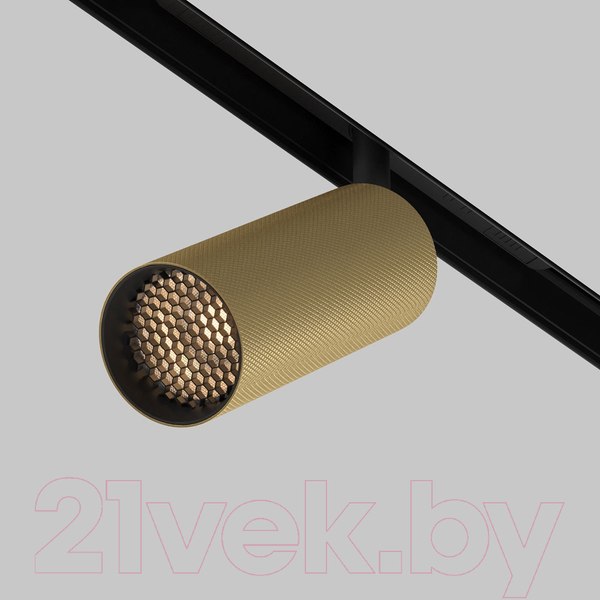 Изображение товара Трековый светильник Maytoni Artisan TR097-2-12W4K-M-BMG