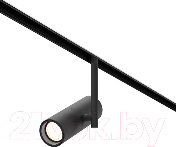 Изображение товара Трековый светильник Maytoni Elti TR005-4-12W-DS-B