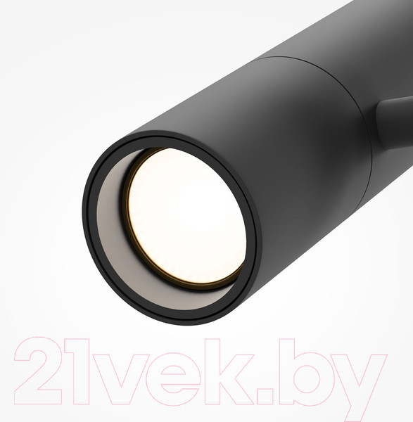 Изображение товара Трековый светильник Maytoni Elti TR005-4-12W-DS-B