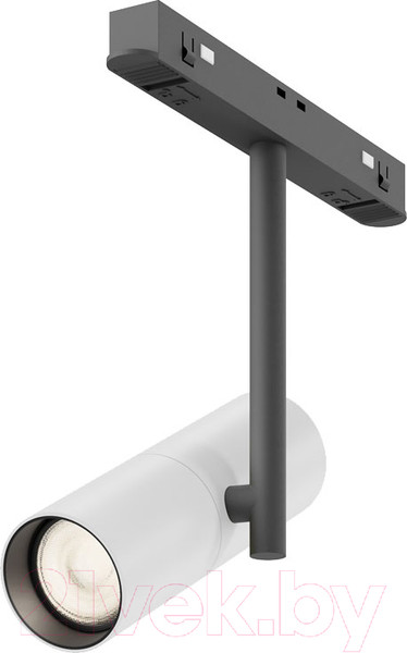 Изображение товара Трековый светильник Maytoni Elti TR005-2-12W3K-BW