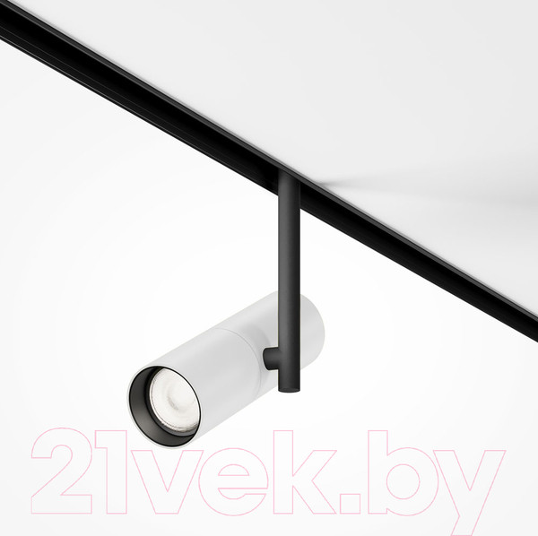 Изображение товара Трековый светильник Maytoni Elti TR005-4-12W-DS-BW