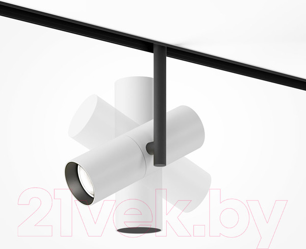 Изображение товара Трековый светильник Maytoni Elti TR005-4-12W-DS-BW