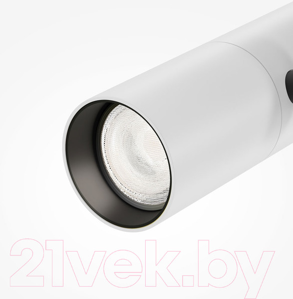 Изображение товара Трековый светильник Maytoni Elti TR005-4-12W-DS-BW