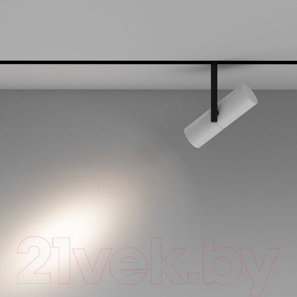 Изображение товара Трековый светильник Maytoni Elti TR005-4-12W-DS-BW
