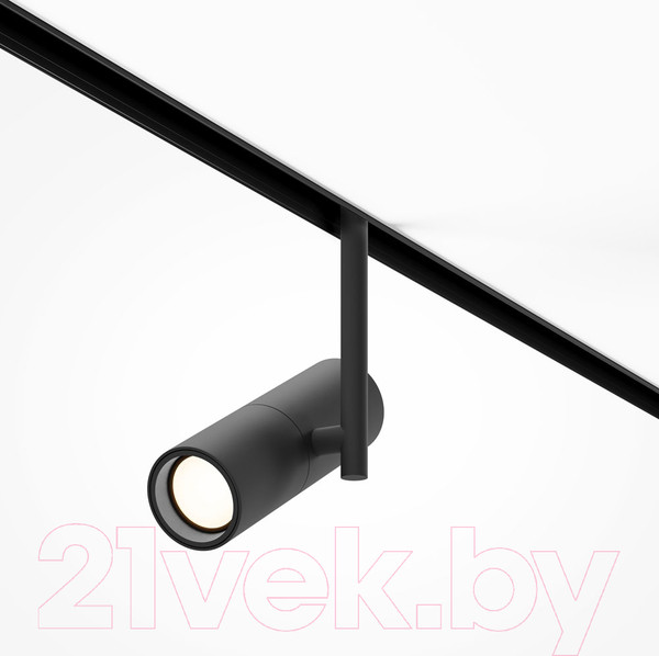 Изображение товара Трековый светильник Maytoni Elti TR005-2-12W4K-B