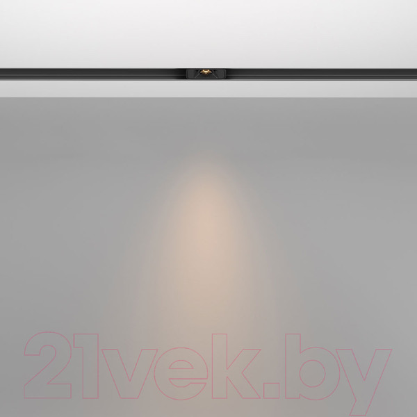 Изображение товара Трековый светильник Maytoni Points S TR100-2-2W4K-S-B