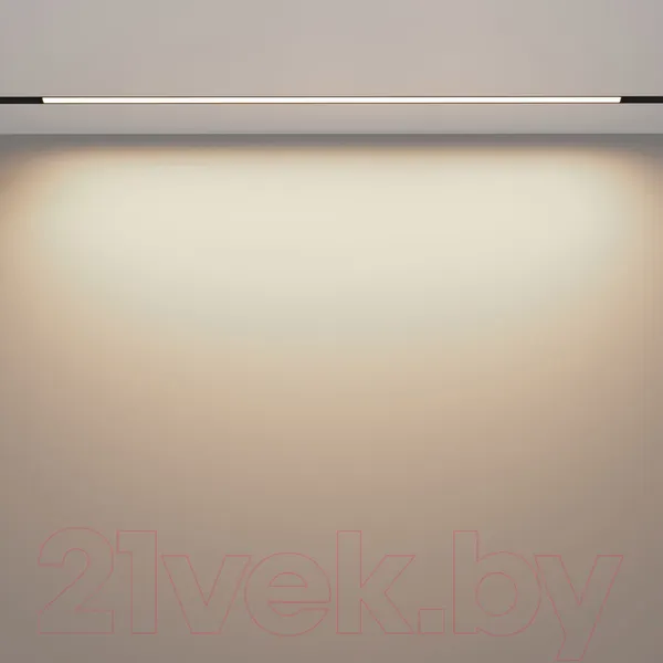 Изображение товара Трековый светильник Maytoni Basis TR030-2-30W4K-B