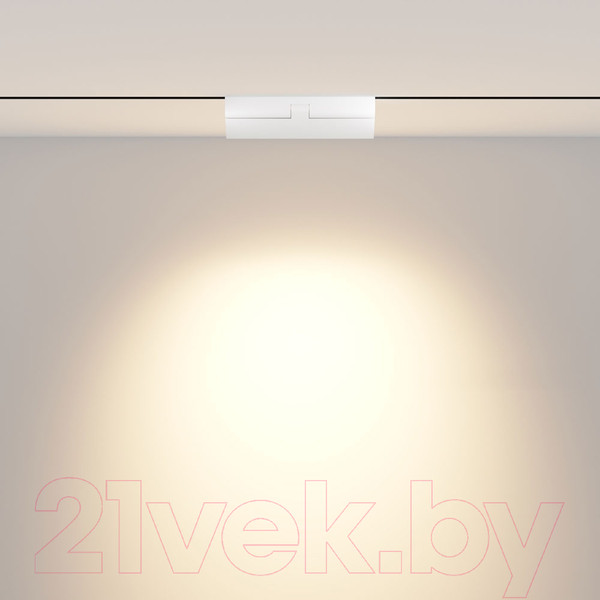 Изображение товара Трековый светильник Maytoni Points Rot TR033-4-12WTW-DD-W
