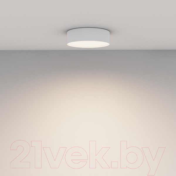 Изображение товара Потолочный светильник Maytoni Zon C032CL-24W4K-RD-W