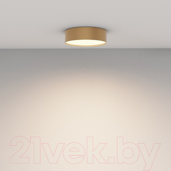 Изображение товара Потолочный светильник Maytoni Zon C032CL-24W3K-RD-MG