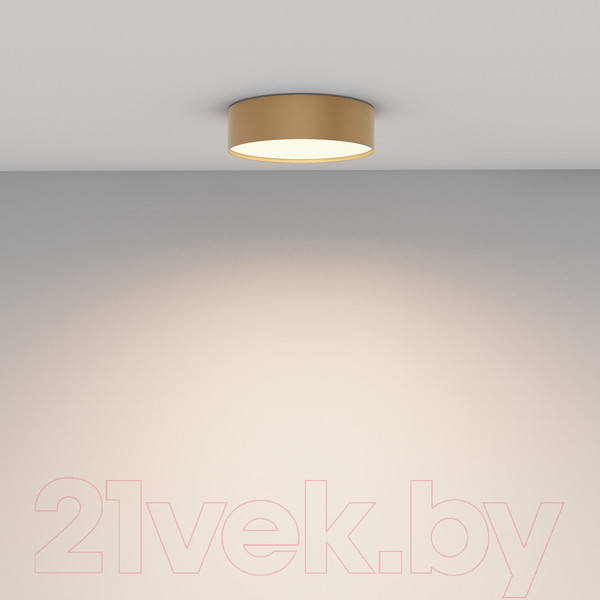 Изображение товара Потолочный светильник Maytoni Zon C032CL-24W4K-RD-MG