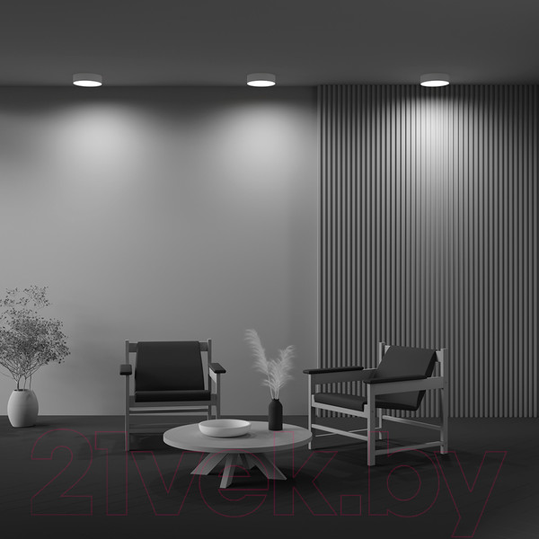 Изображение товара Потолочный светильник Maytoni Zon C032CL-24W4K-RD-MG