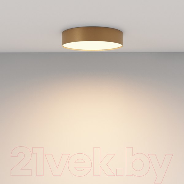 Изображение товара Потолочный светильник Maytoni Zon C032CL-36W4K-RD-MG