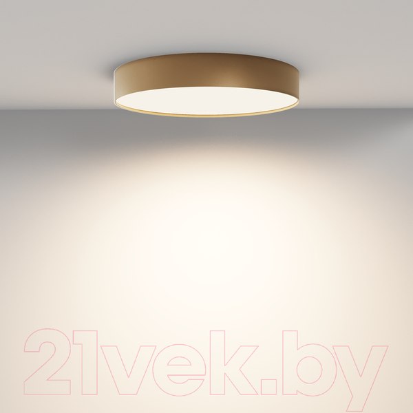 Изображение товара Потолочный светильник Maytoni Zon C032CL-45W3K-RD-MG