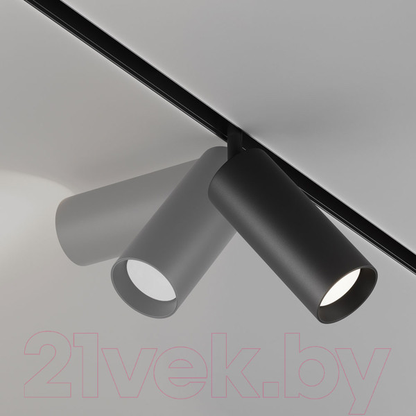 Изображение товара Трековый светильник Maytoni Focus Led TR032-4-20WTW-S-DD-B