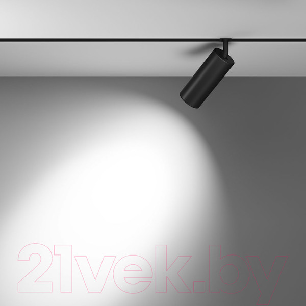 Изображение товара Трековый светильник Maytoni Focus Led TR032-4-20WTW-S-DD-B