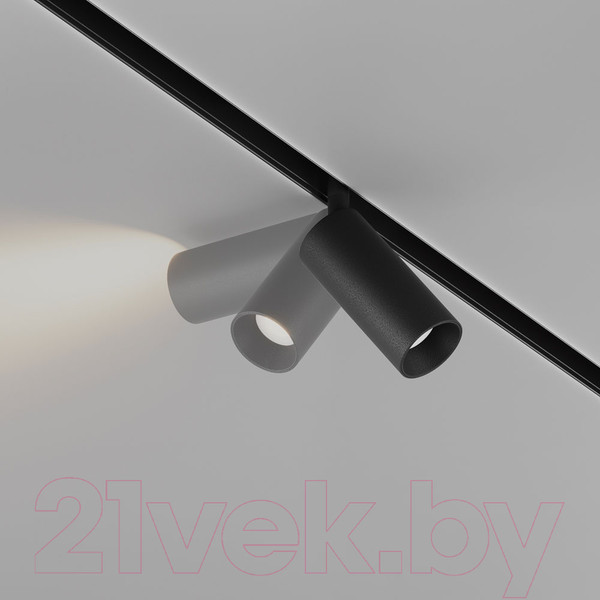 Изображение товара Трековый светильник Maytoni Focus Led TR032-4-5WTW-S-DD-B