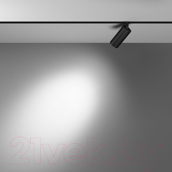 Изображение товара Трековый светильник Maytoni Focus Led TR032-4-5WTW-S-DD-B